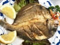 ORATA/BRANZINO